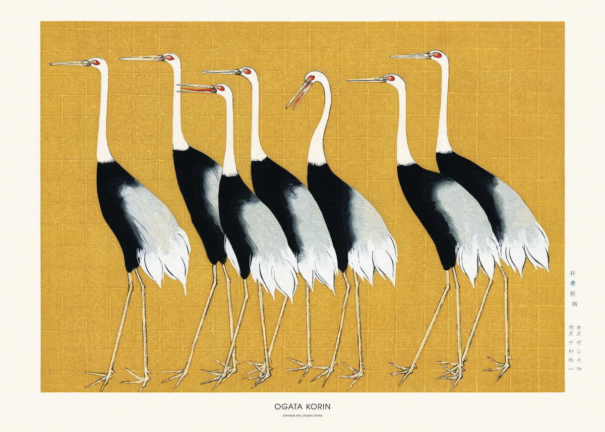 acrylic-print-japanese-red-crown-crane-2