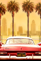 aluminium-print-plymouth-savoy-with-palms