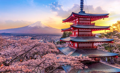 poster-print-japan-in-cherry-blossom-spring