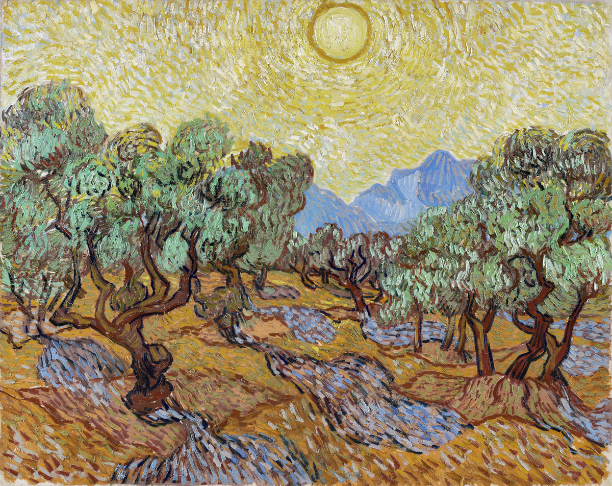 framedposter-print-vincent-van-goghs-olive-trees-1889