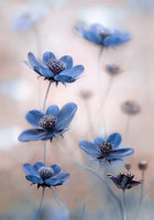 framedposter-print-cosmos-blue-2