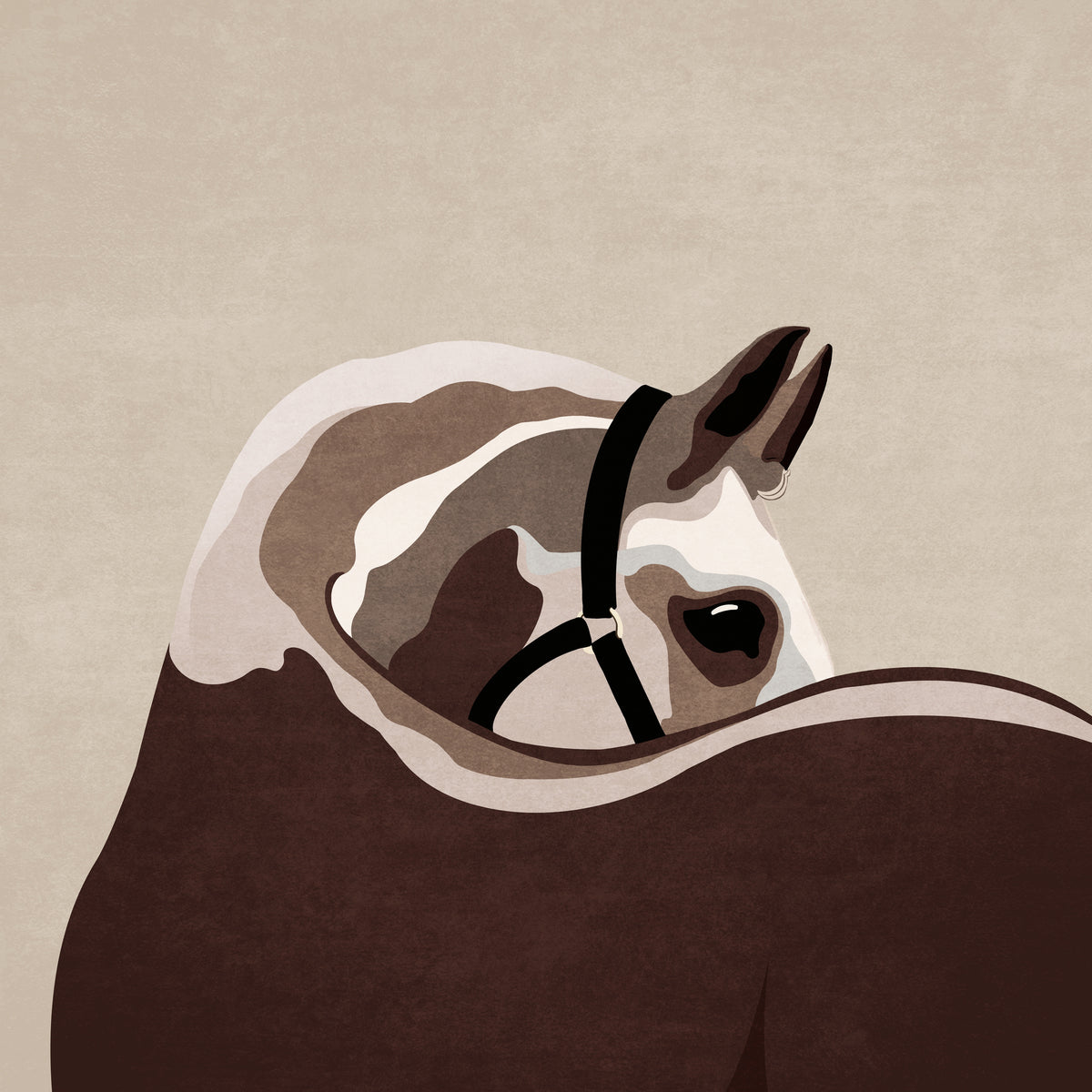 canvas-print-gentle-equine-curve