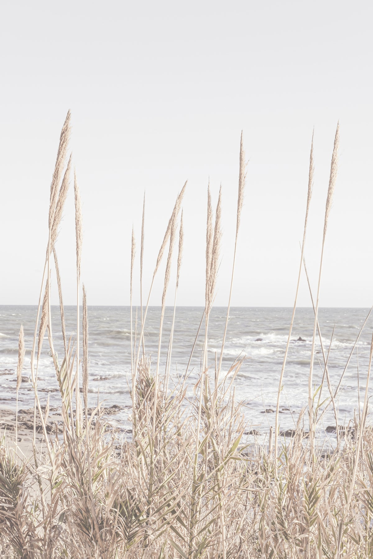aluminium-print-beach-vass-001