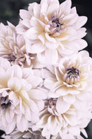 canvas-print-pinkish-flowers