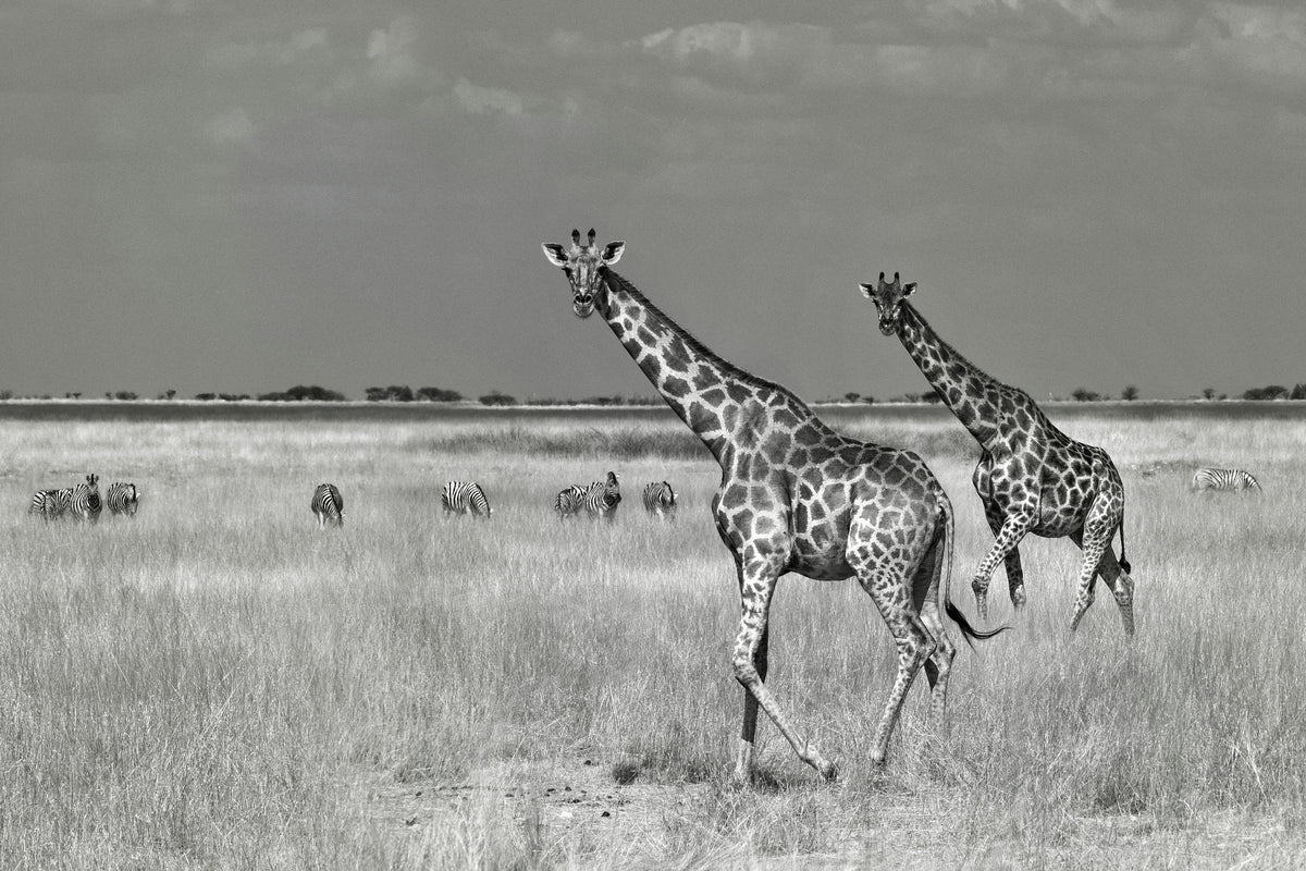 aluminium-print-tourists-spend