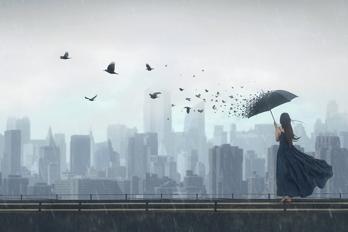 canvas-print-fly-away