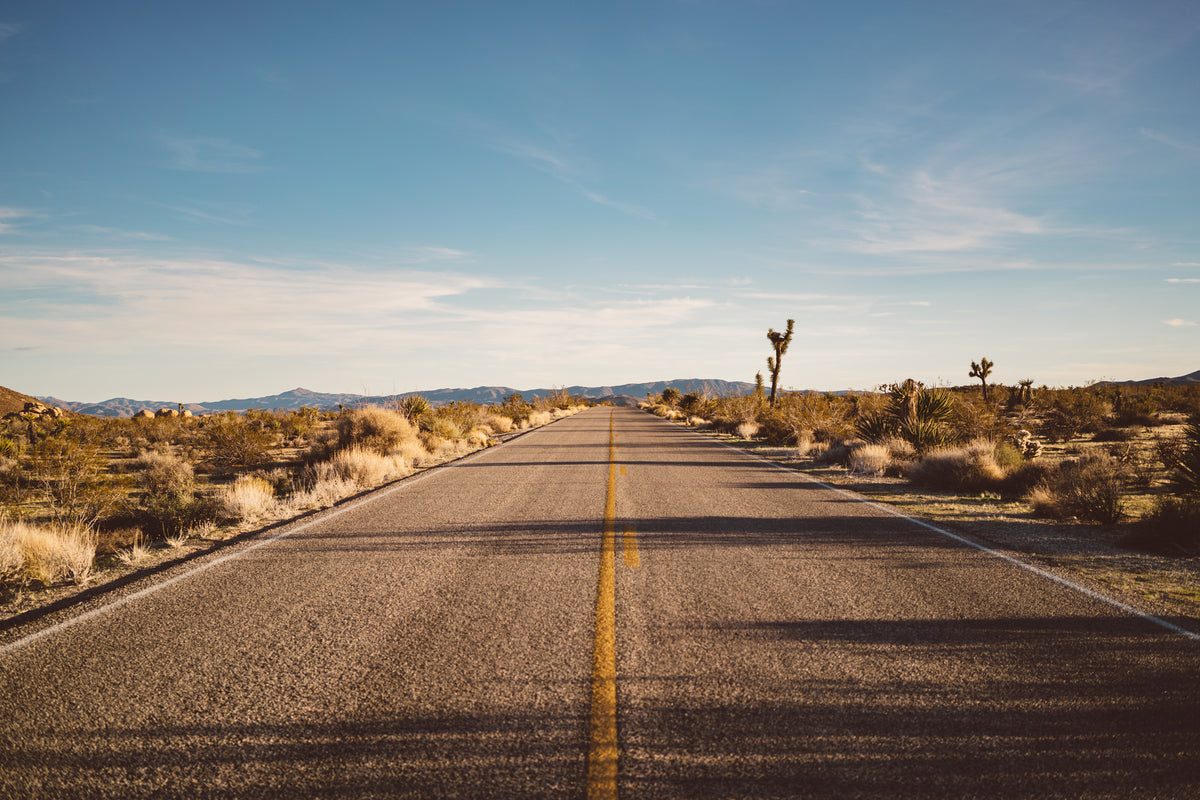 3-piece-acrylic-print-joshua-tree-road-2