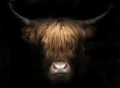 poster-print-nature-and-strength-combined