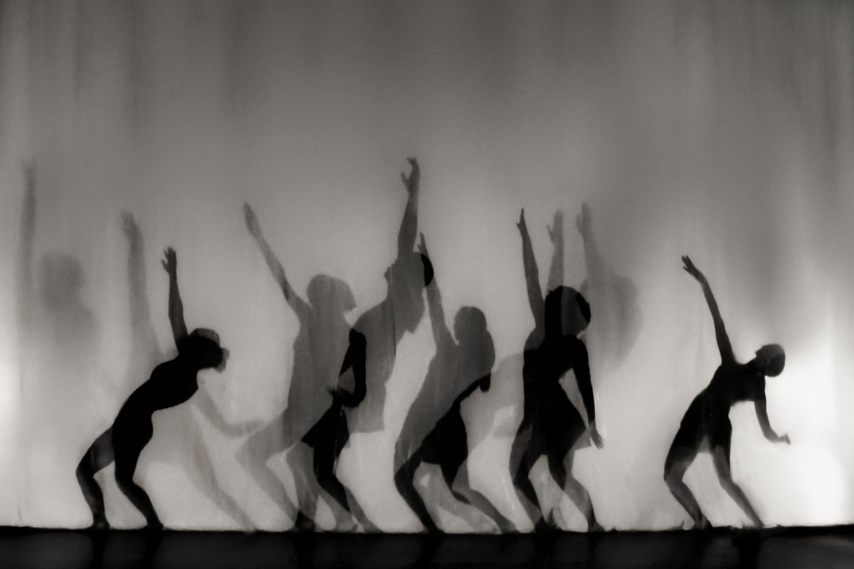 framedposter-print-dance-is-the-language-of-the-soul
