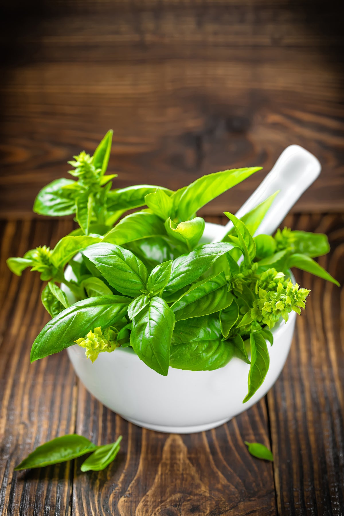 framedcanvas-print-fresh-basil