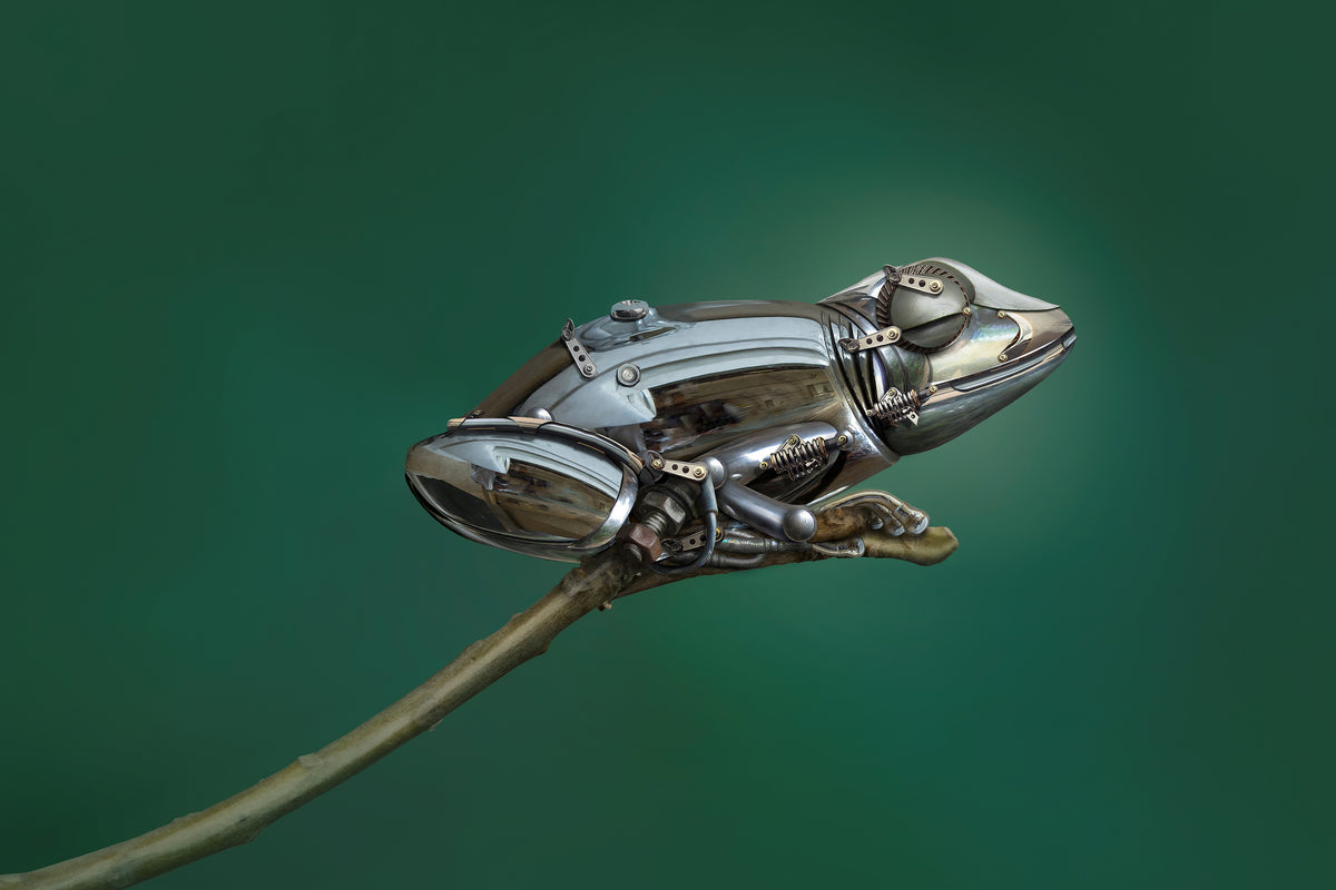 framedposter-print-frog