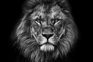 poster-print-king-face-bw