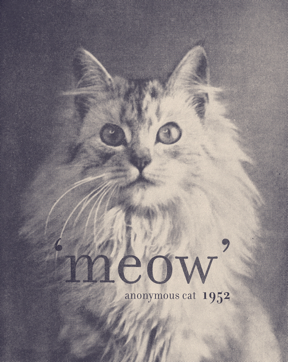 canvas-print-famous-quote-cat