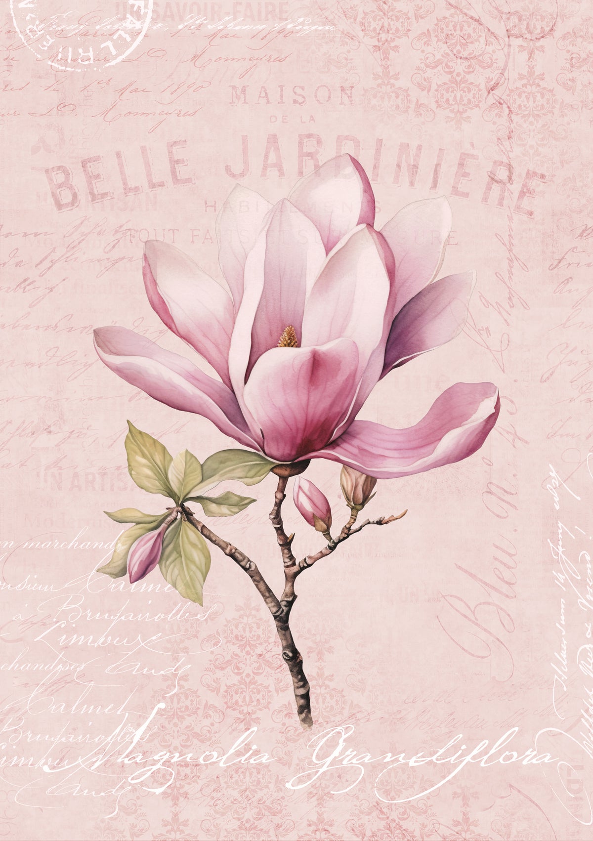 framedposter-print-magnolia-pink-no1
