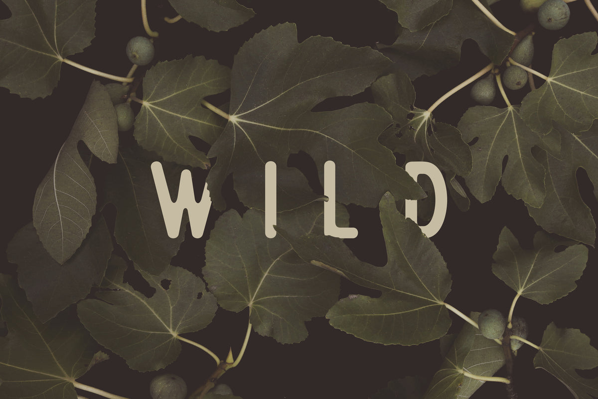 canvas-print-wild-n1