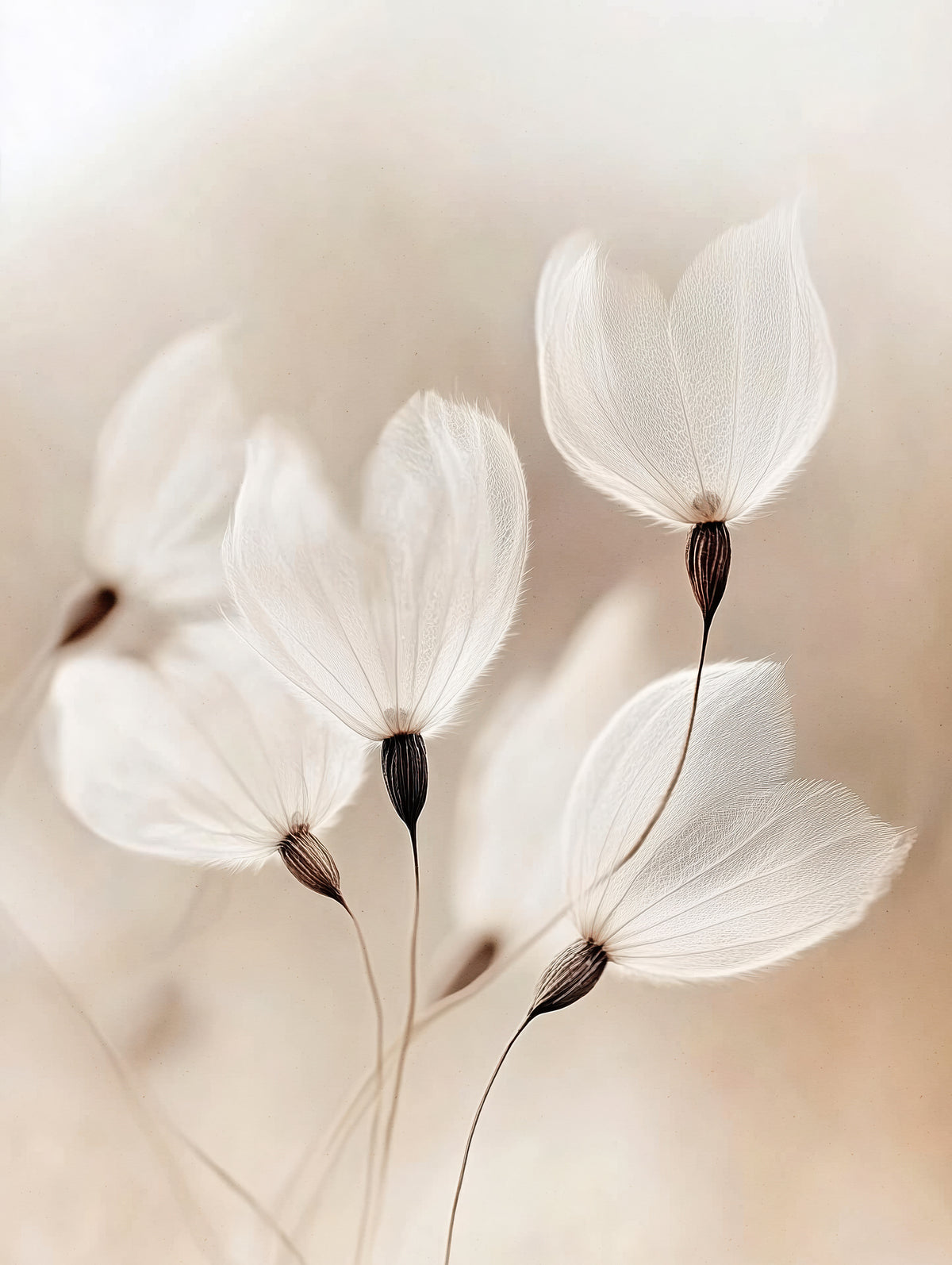 aluminium-print-ethereal-blossoms-2