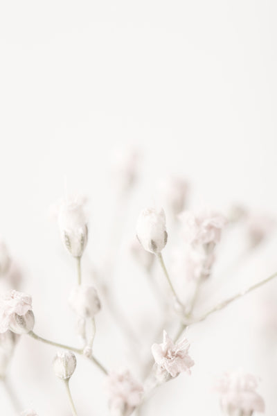 poster-print-pink-small-flowers