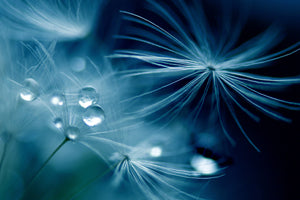canvas-print-soft-touch-x