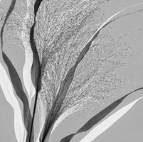 4-piece-canvas-print-simply-grass