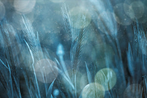 framedposter-print-fantastic-nature-x