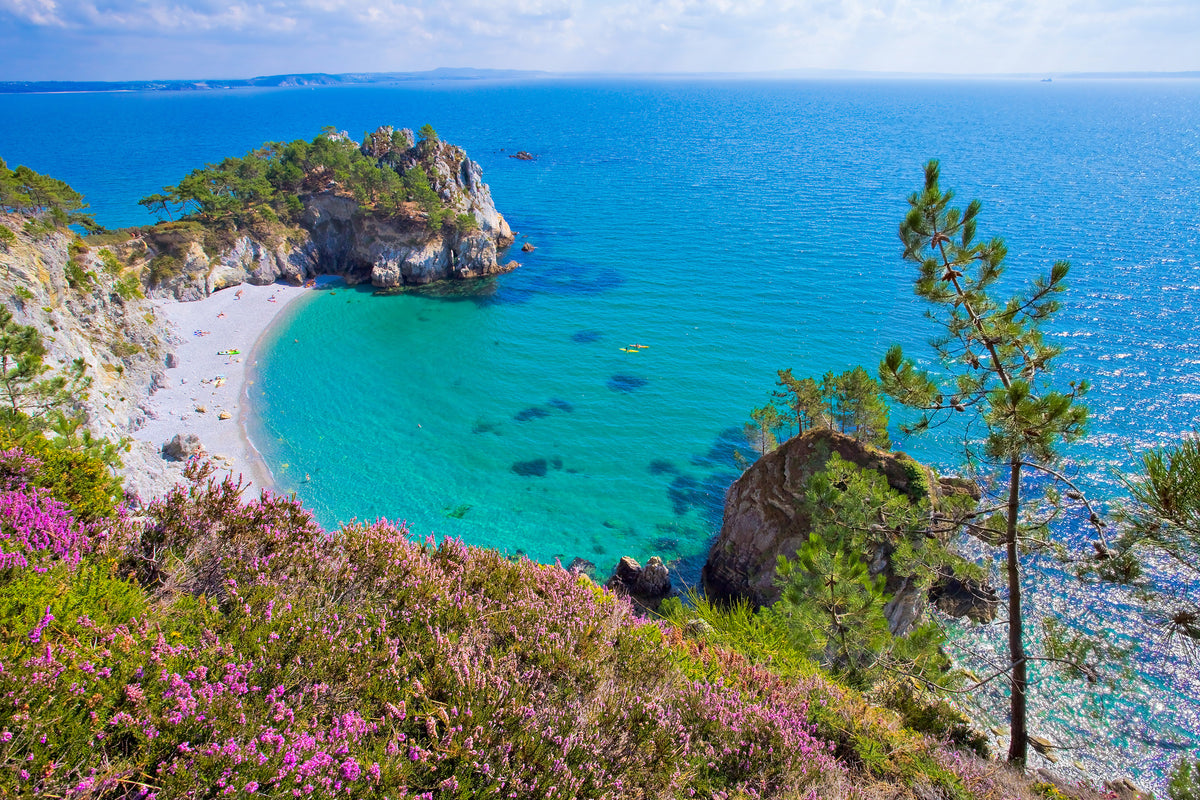 3-piece-canvas-print-ferns-and-gorse-along-the-coastline
