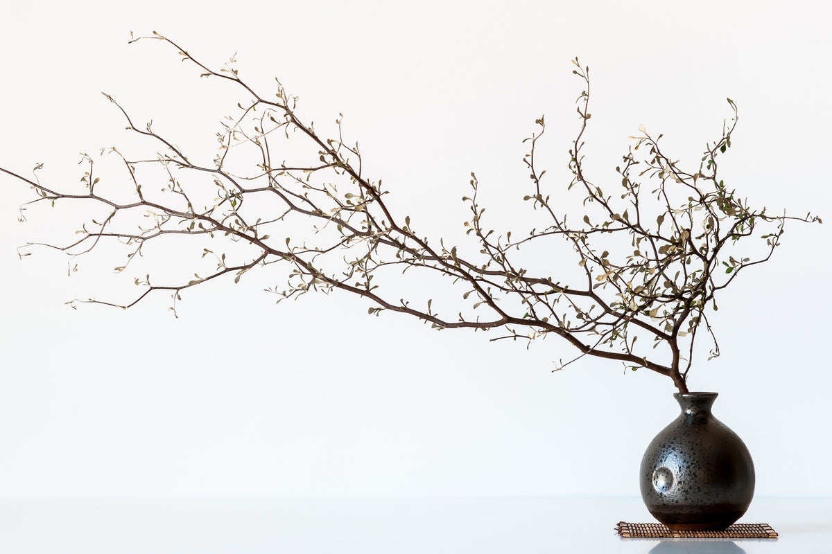 canvas-print-vase-and-branch-x