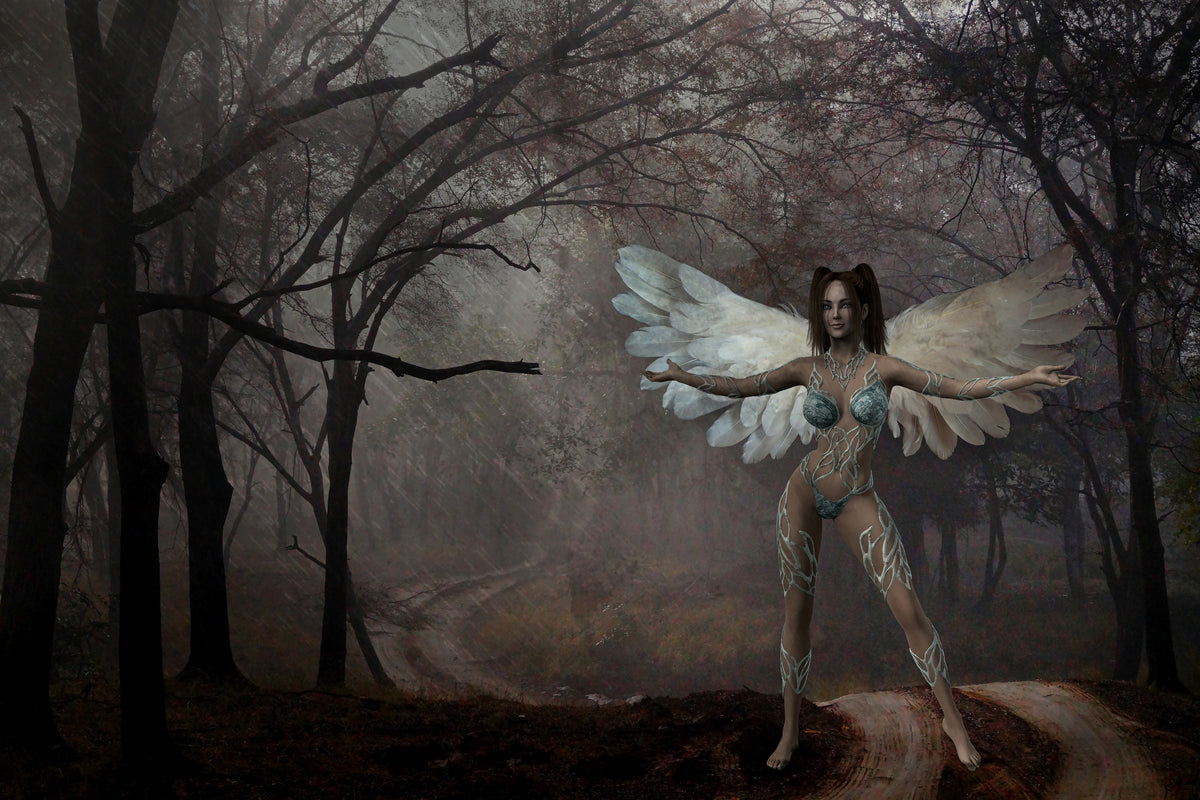 aluminium-print-fantasy-in-the-forest