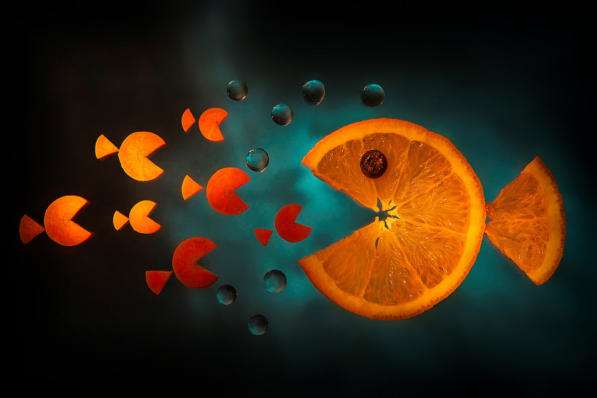 aluminium-print-orange-fish-x