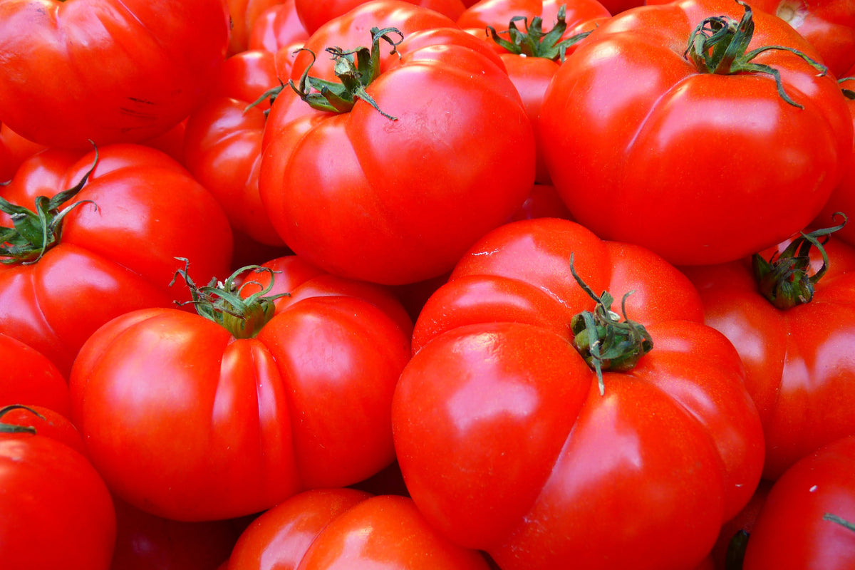 aluminium-print-fresh-tomatoes