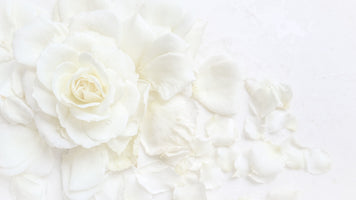 5-piece-canvas-print-white-rose-and-petals