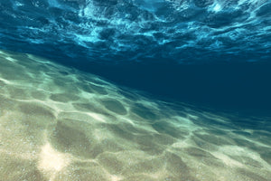 framedposter-print-under-the-water