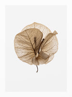 canvas-print-fragile-glow