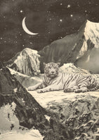 aluminium-print-giant-white-tiger