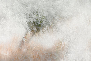 3-piece-canvas-print-soft-and-gentle