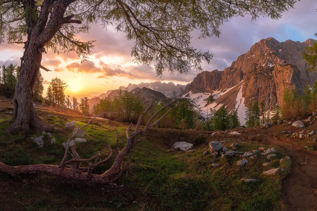 acrylic-print-magical-morning-xzs