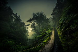 acrylic-print-levada-walk-x