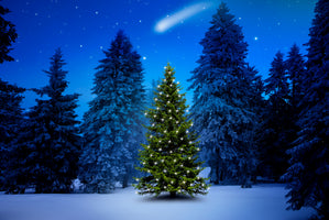 modern-3-piece-canvas-print-weihnachtsbaum-im-tannenwald