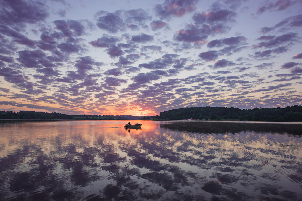 framedposter-print-morning