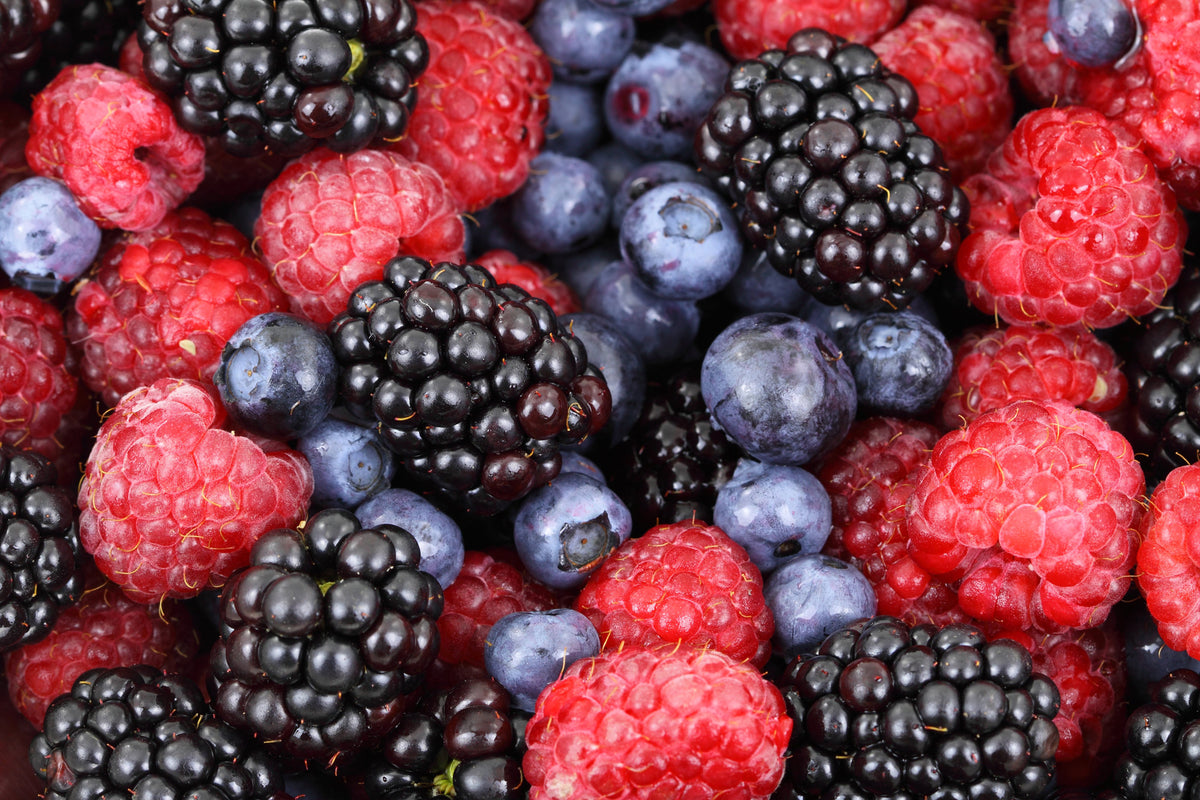 framedposter-print-fruity-berries