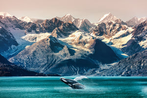 poster-print-wal-in-alaska