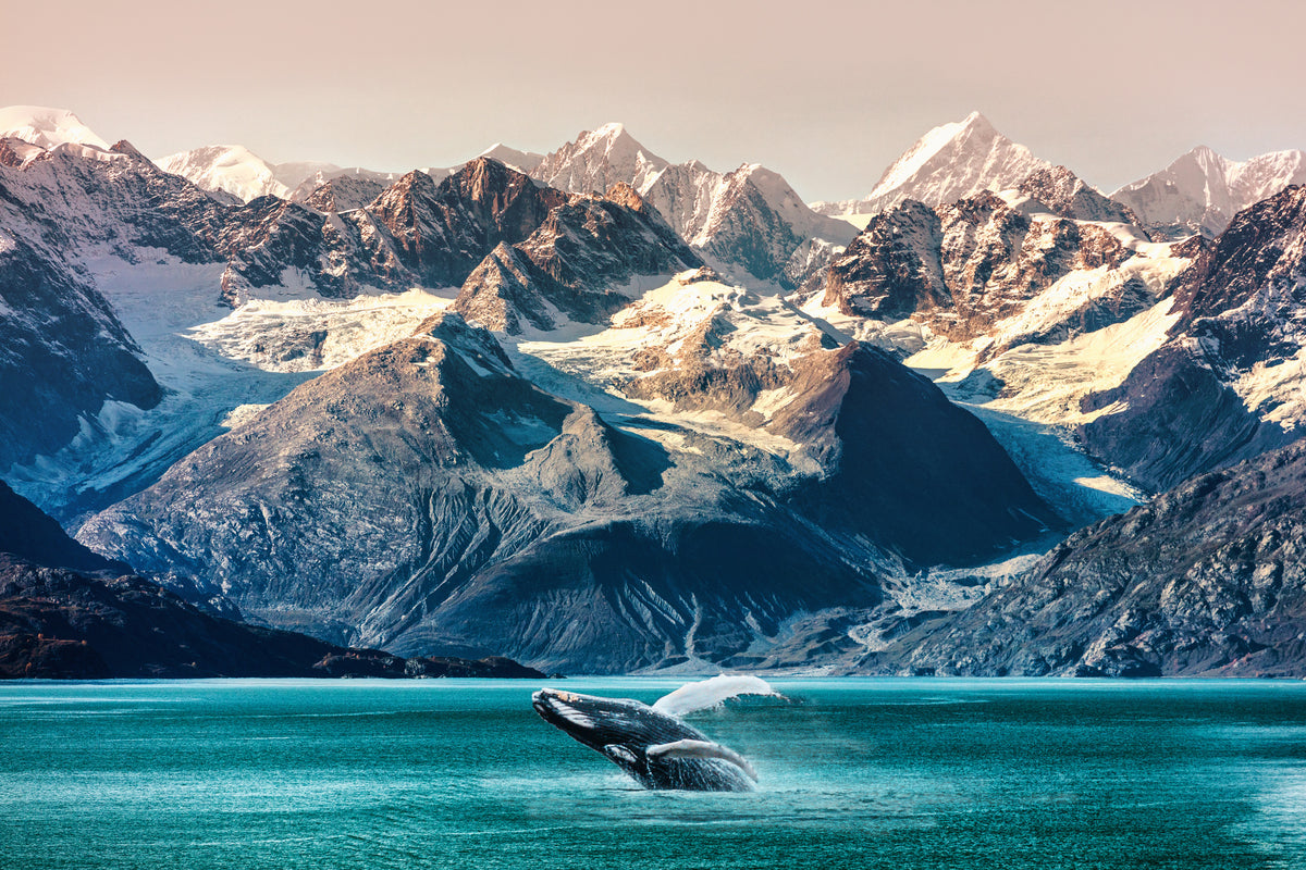 poster-print-wal-in-alaska