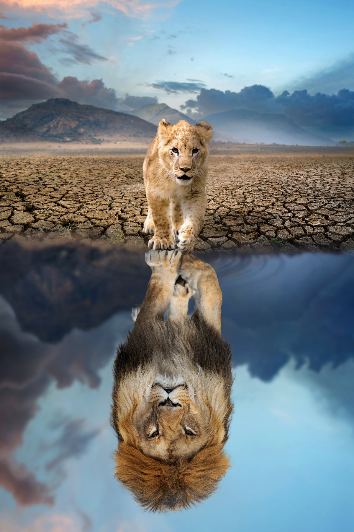 poster-print-growing-up
