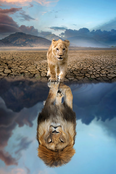 poster-print-growing-up