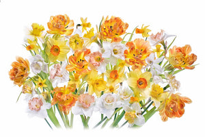 canvas-print-spirited-x