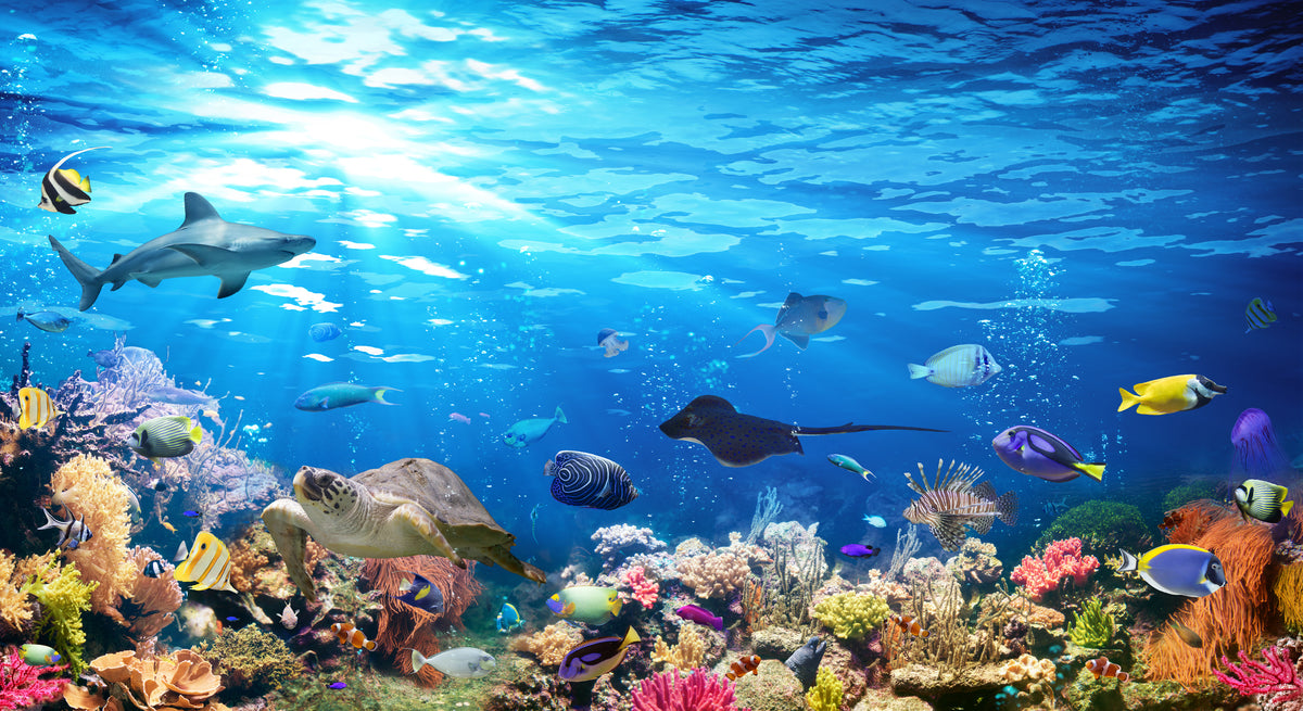 poster-print-exotic-colors-beneath-the-waves