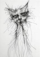 framedposter-print-morning-cat