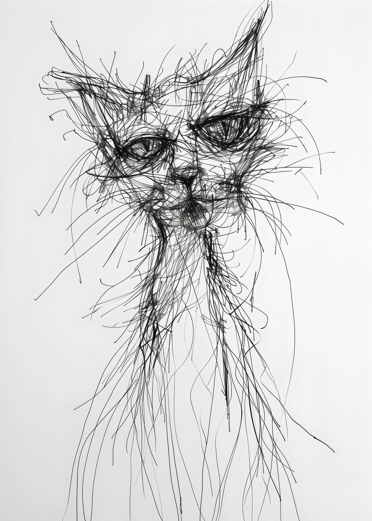framedposter-print-morning-cat