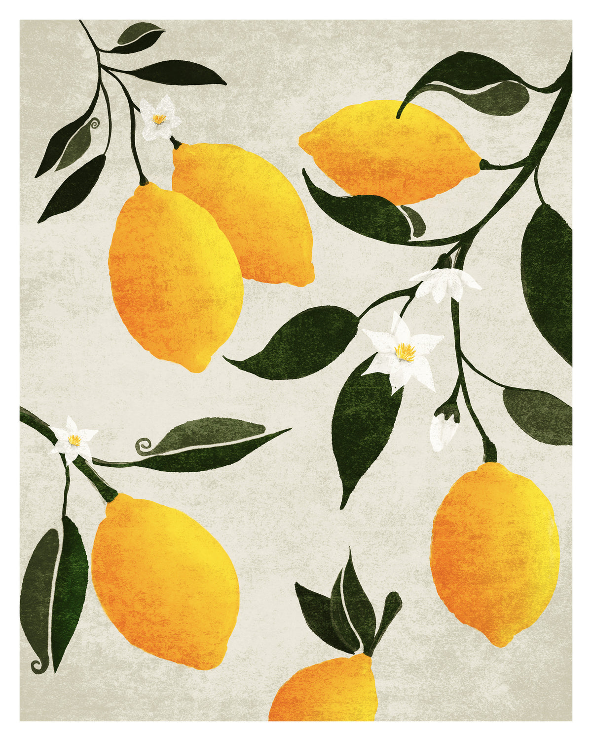 acrylic-print-citrus-symphony