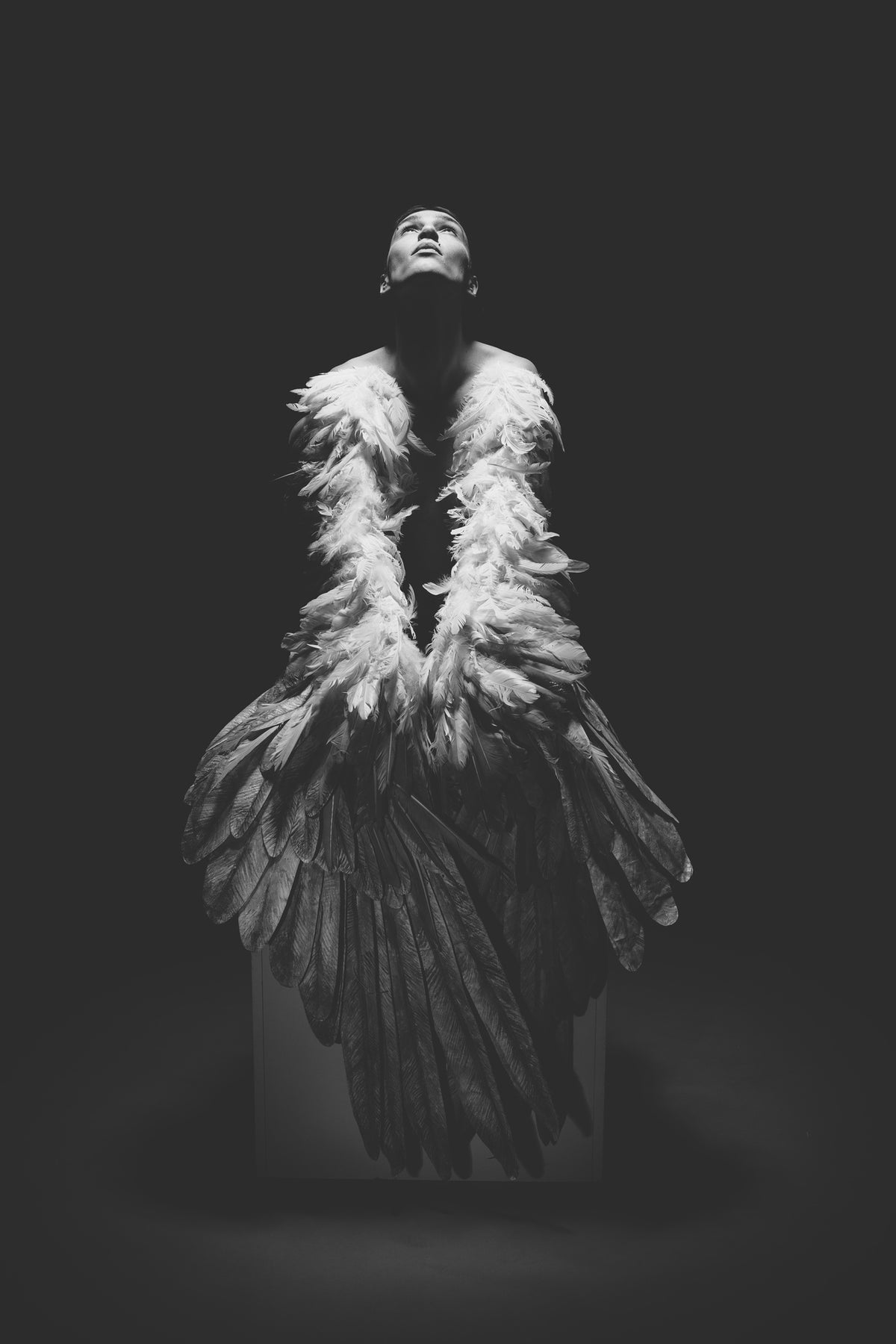 poster-print-angel-wings-rolk6