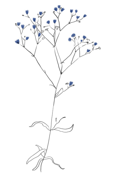 poster-print-simple-line-art-plant